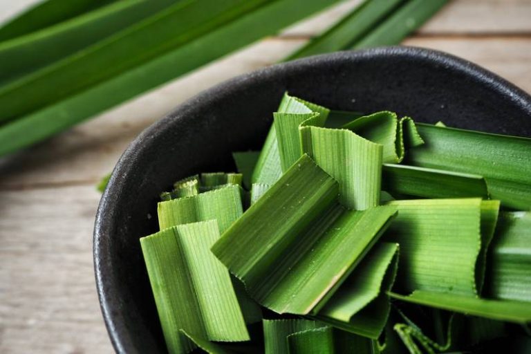 Questo è quello che devi sapere sul superalimento verde