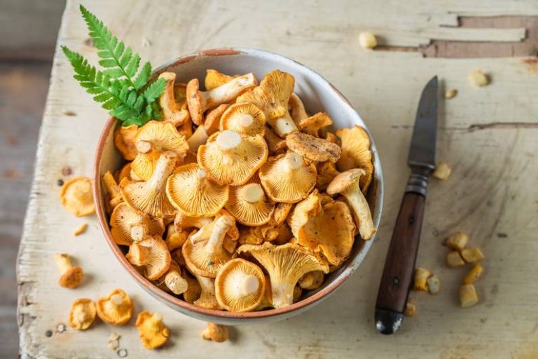 Autunno: questi funghi sono un vero superfood