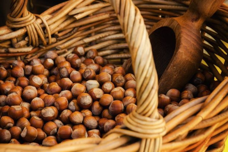 Nuts di controllo della salute: proteggi davvero dagli attacchi di cuore e dalla demenza?