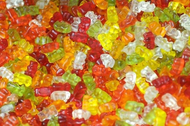 SCAFFERTI SAGGI IN GUNMI ORSI: È davvero lì dentro