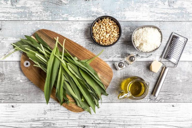Ricetta: pesto di aglio selvatico