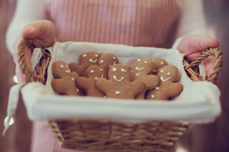 Pan di zenzero vegano con farina scritta