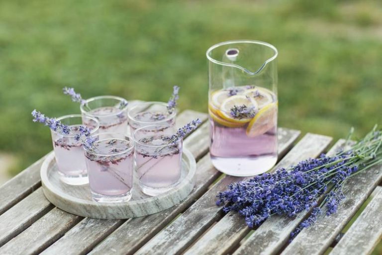 Ricetta: bevanda estiva rinfrescante con lavanda