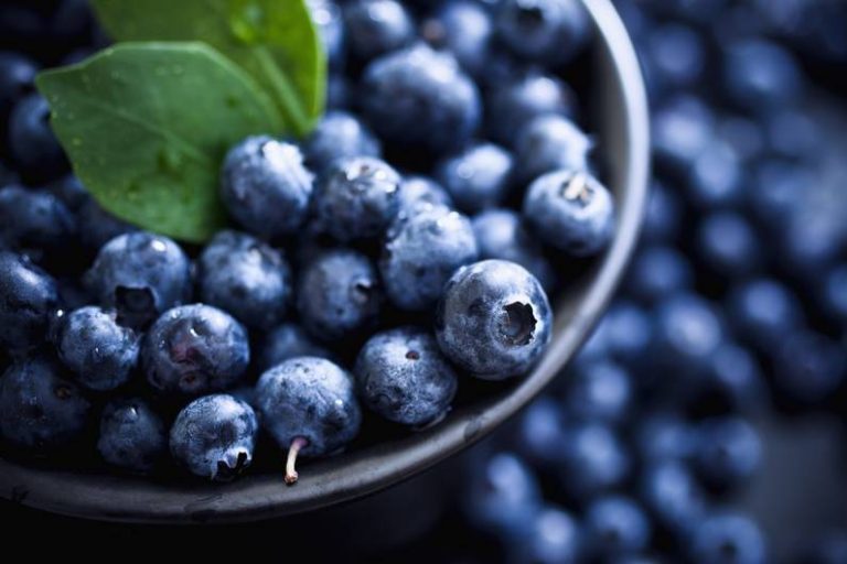 Superfood: quale varietà di mirtilli in estate è la scelta migliore