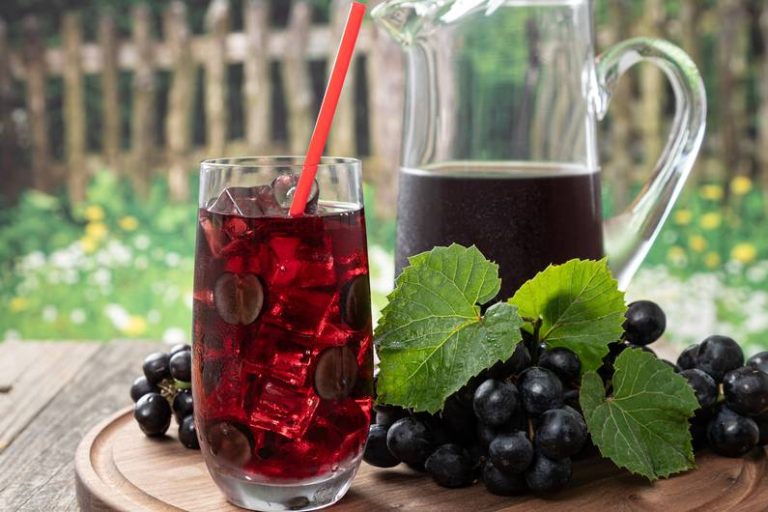 Supporto per l’intestino, il metabolismo e il sistema immunitario