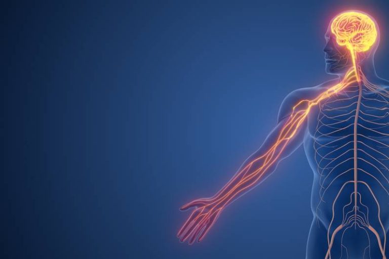 Ecco come usi efficacemente la connessione Mind-Muscle